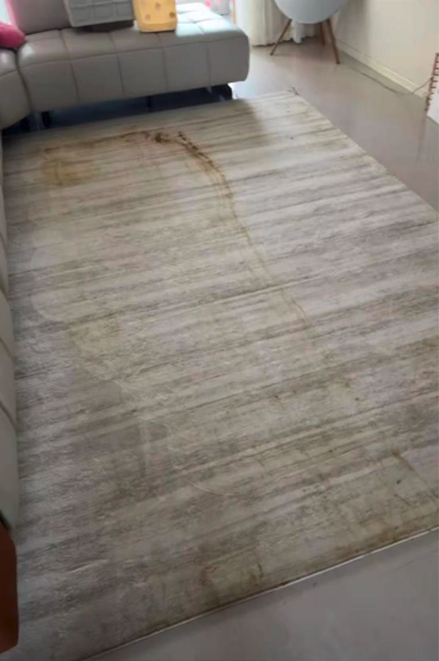 Pet waste smeared in long streaks across the living-room rug